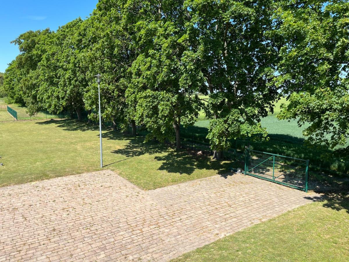 Osrodek Konferencyjno-Wypoczynkowy Hostel Chojna Luaran gambar