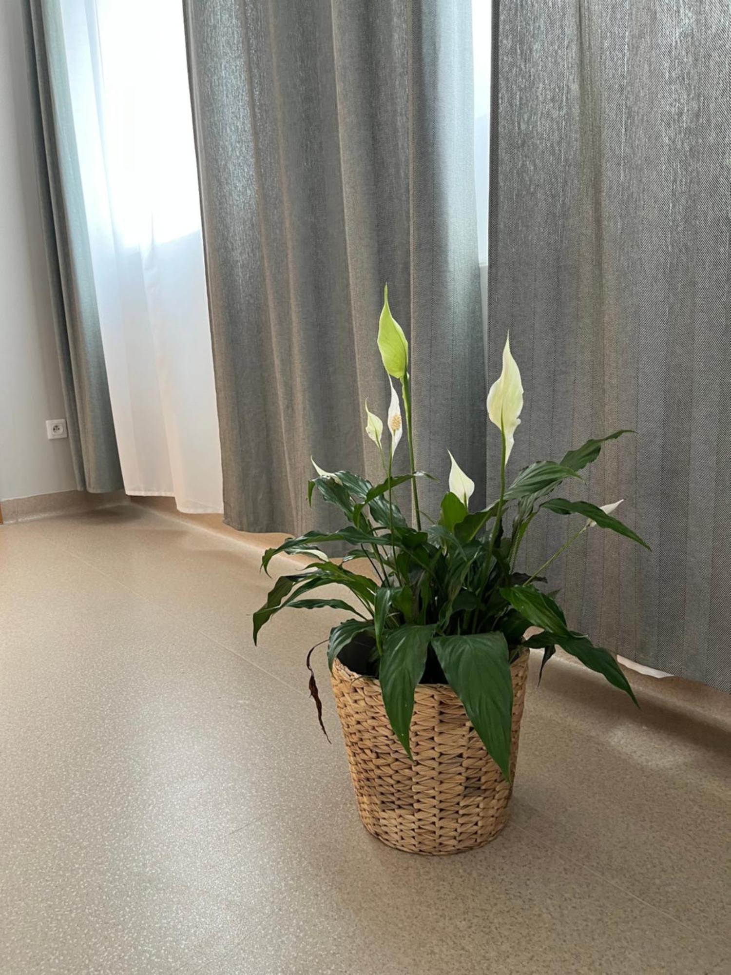Osrodek Konferencyjno-Wypoczynkowy Hostel Chojna Luaran gambar
